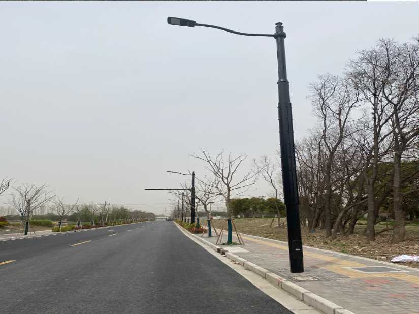高坪区上海综合杆 太阳能路灯工程